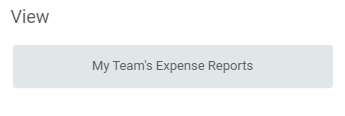 team spend report