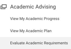 Academic Advising (Evaluate Academic Requirements)